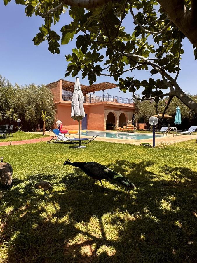 Villa Ms Holidays Mika Privatisee Marrakech Marrakesh Bagian luar foto