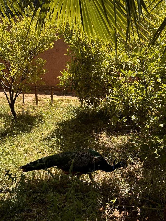 Villa Ms Holidays Mika Privatisee Marrakech Marrakesh Bagian luar foto