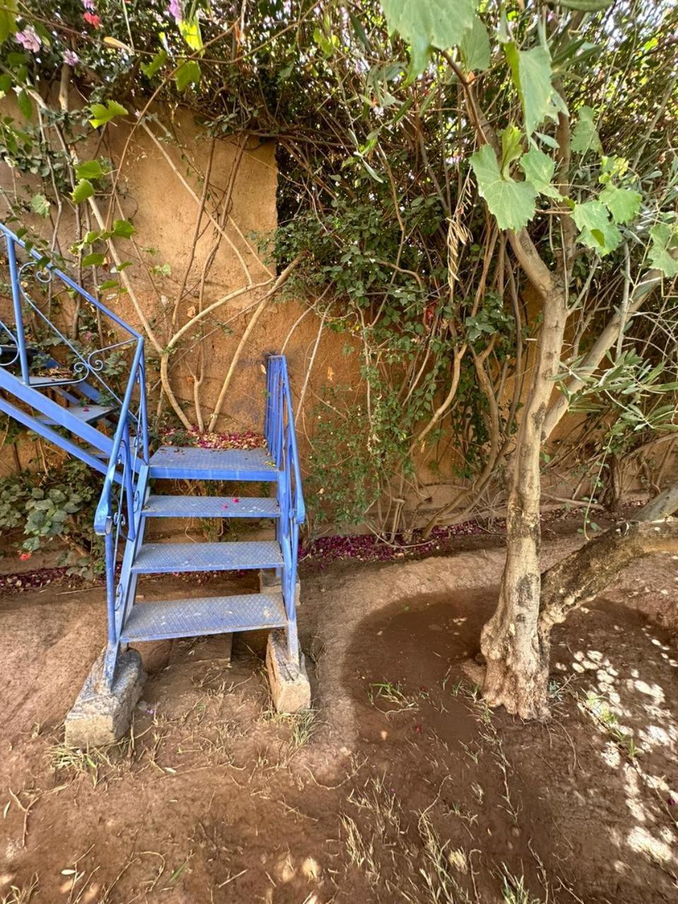Villa Ms Holidays Mika Privatisee Marrakech Marrakesh Bagian luar foto