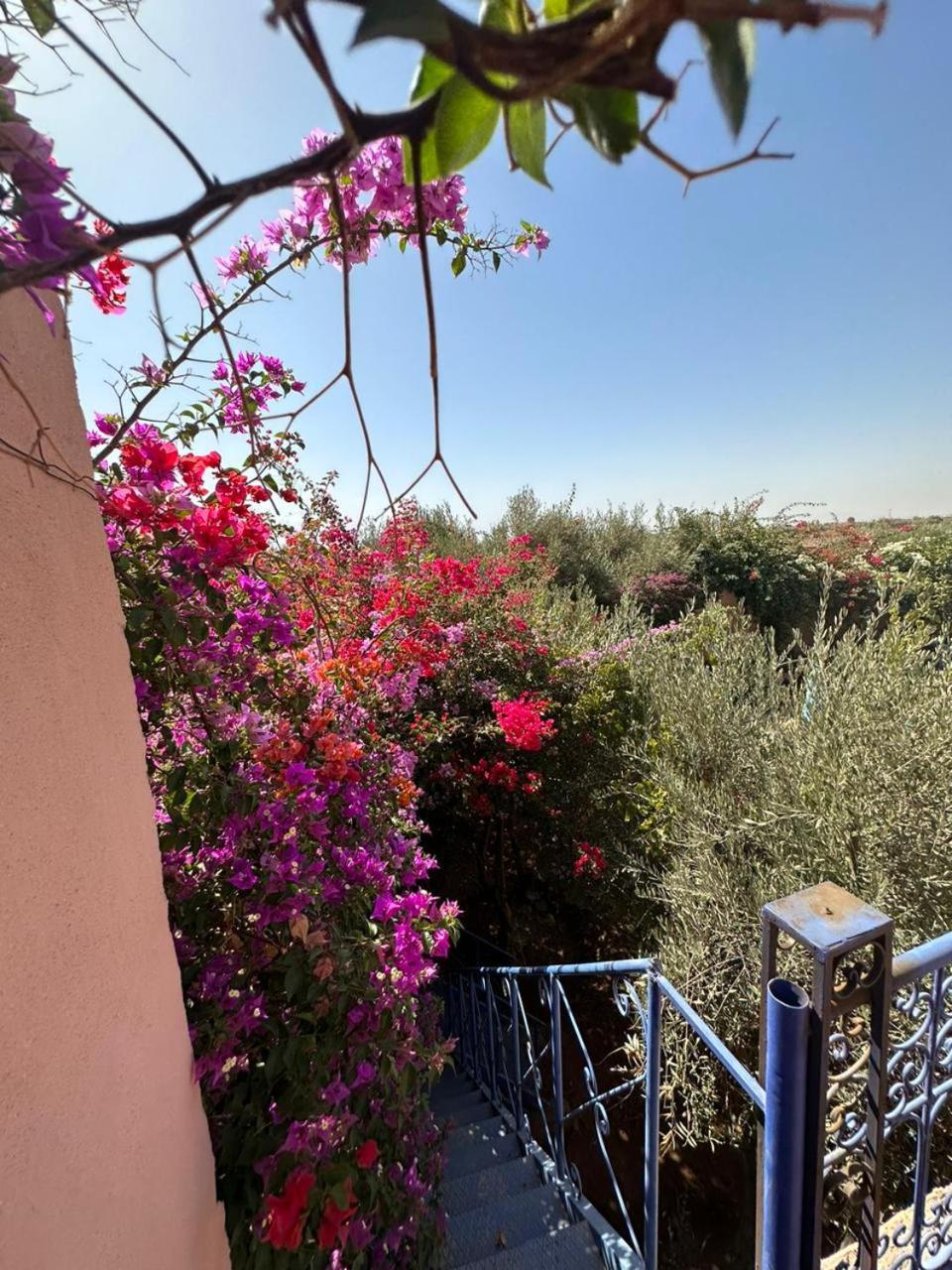 Villa Ms Holidays Mika Privatisee Marrakech Marrakesh Bagian luar foto