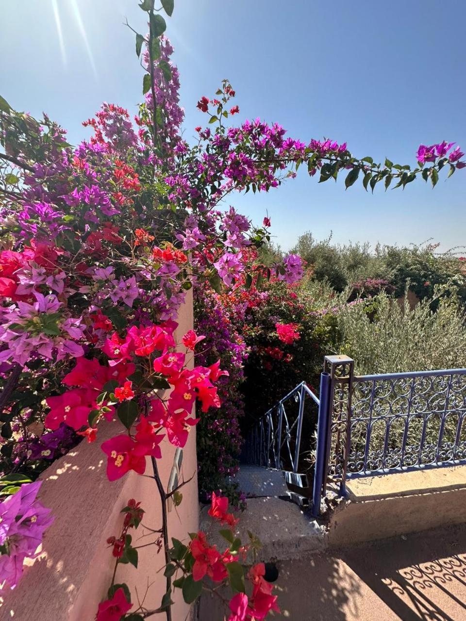 Villa Ms Holidays Mika Privatisee Marrakech Marrakesh Bagian luar foto