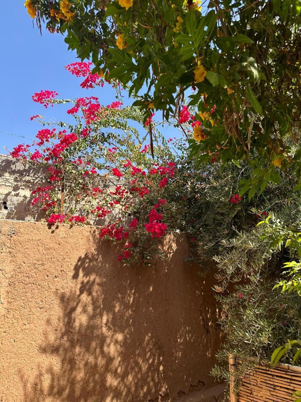 Villa Ms Holidays Mika Privatisee Marrakech Marrakesh Bagian luar foto